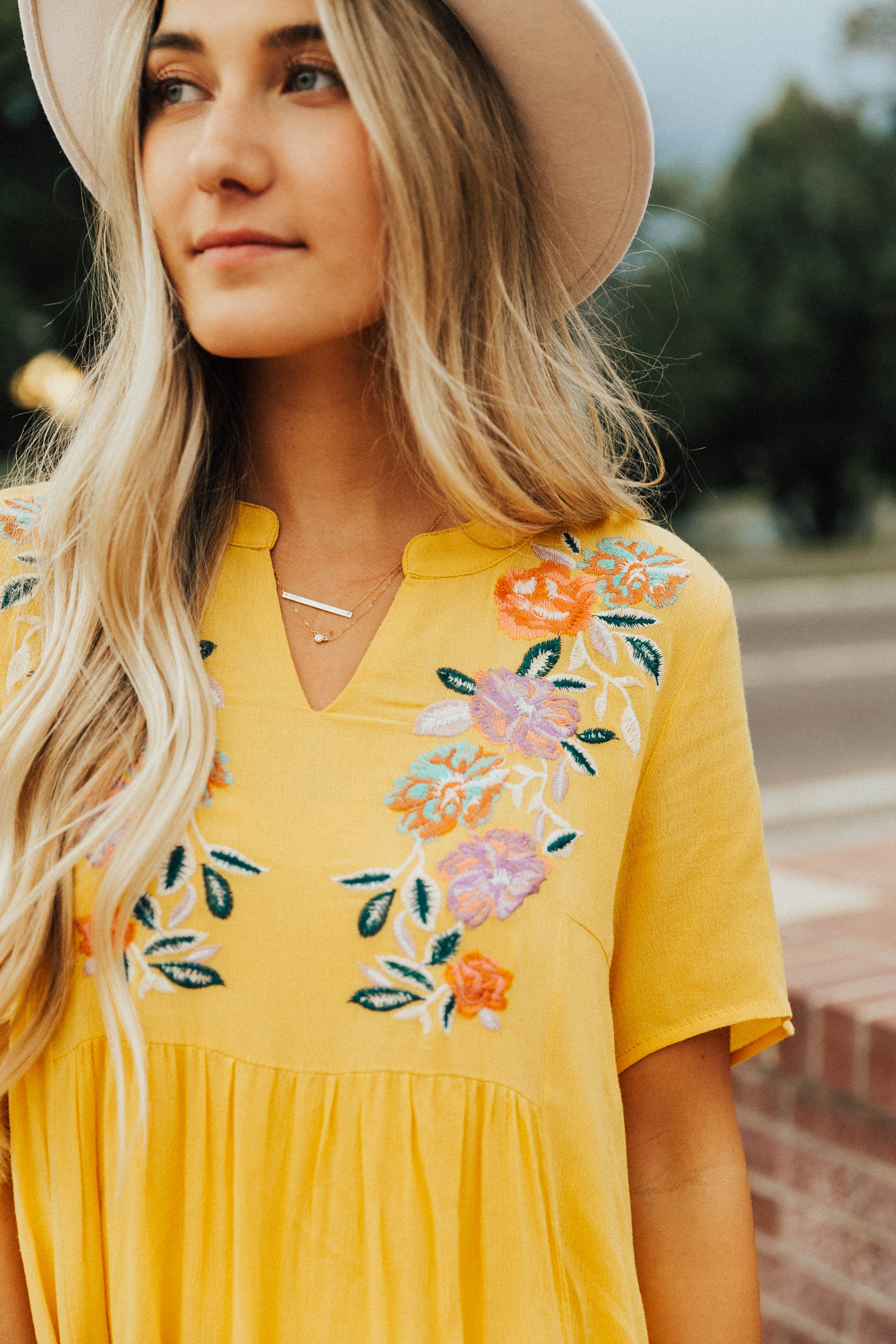 Embroidered Floral Empire Waist Dress